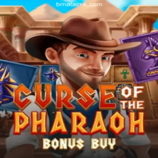 Discover the Thrills of Curse of the Pharaoh Bonus Buy in Brazil's Most Trusted Casino
