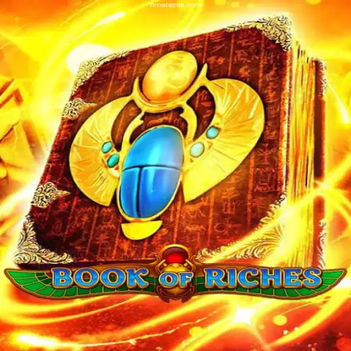 Discovering the World of 'Book of Riches': A Premier Gaming Experience